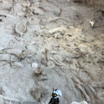 Dinosaur National Monument - Landmarks & Historical Buildings Near Me - Jensen, Utah