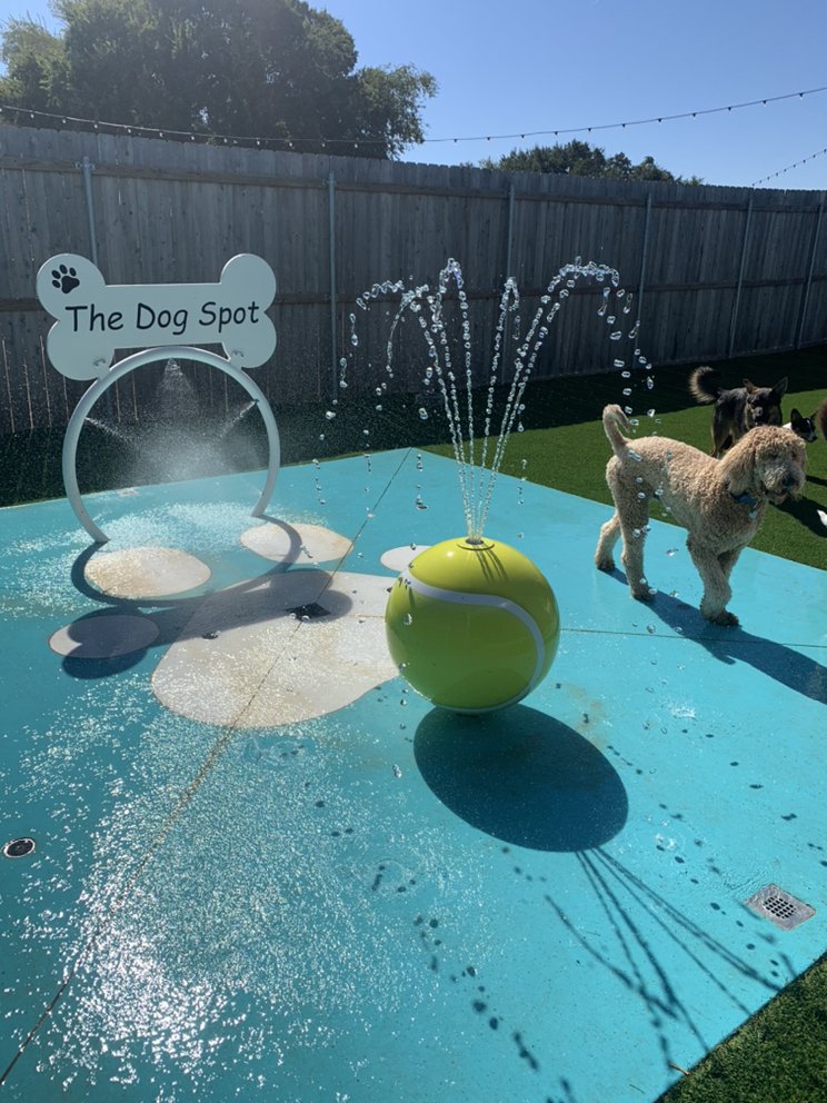 THE DOG SPOT Updated October 2024 39 Photos & 21 Reviews 403 Thomas Arnold Rd, Salado
