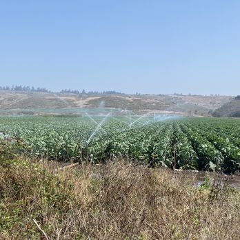 Wilder Ranch State Park - Walking through the sprinklers was also fun - Parks Near Me - Santa Cruz, California Wilder Ranch State Park - Walking through the sprinklers was also fun - Parks Near Me - Santa Cruz, California