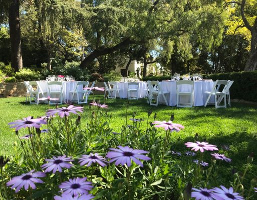 Alexander Gardens by null