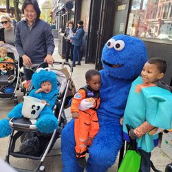 Dr. Andrea Auerbach Park Slope Family Chiropractic And Nutrition - We are a Family Care Practice So everyone  Gets Adjusted, Even Cookie Monster!