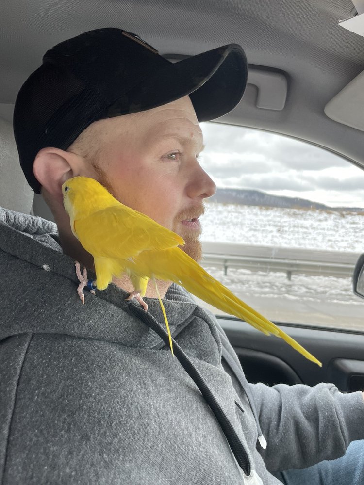 CITY ZOO Updated September 2024 2024 Lake Rd, Elmira, New York Pet Stores Phone Number