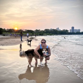 Montrose Dog Beach - Dog Parks Near Me - Chicago, Illinois