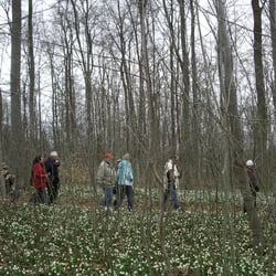 Naturschutzgebiet