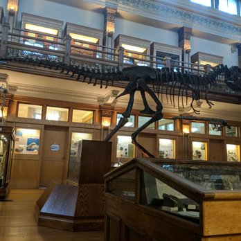 Musée Redpath - Museums Near Me - Montreal, Quebec