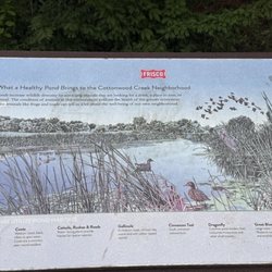 Cottonwood Creek Greenbelt Park - Healthy pond reminded