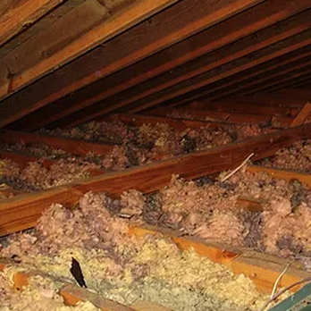 MTech Exterminator Company - Pest Control Near Me - Sylmar, California MTech Exterminator Company - Pest Control Near Me - Sylmar, California
