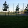Photo of Sportplatz Prendener Straße