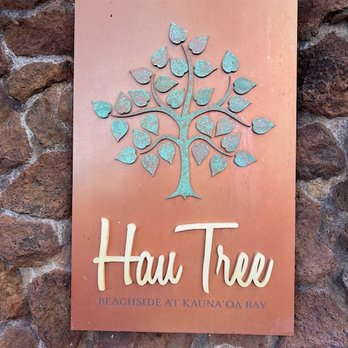 Hau Tree At Mauna Kea - Signage / logo - Seafood Near Me - Kohala Coast, Hawaii