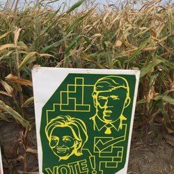Cambria Corn Maze