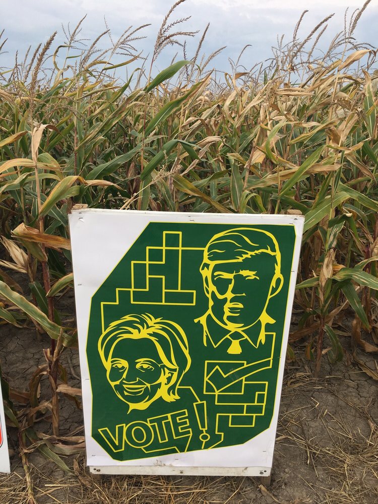 Cambria Corn Maze Logo