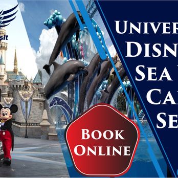Splendor Transit - Orlando Attraction Transportation - Limos Near Me Splendor Transit - Orlando Attraction Transportation - Limos Near Me