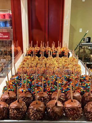 Wilderness Resort by null