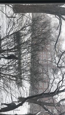 Brooklyn College by null