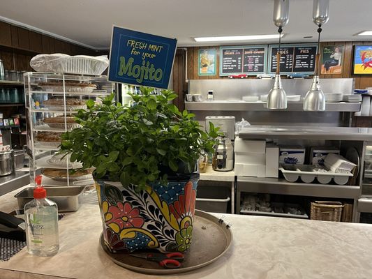 Modern Snack Bar by null