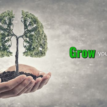 buy bonsai plants online Buy Bonsai Tree Online | Bagwani Nursery | Bonsai 30 main image 0