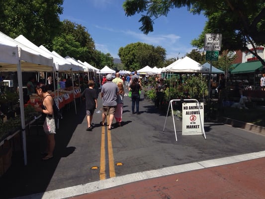 Montrose Farmers Market by null