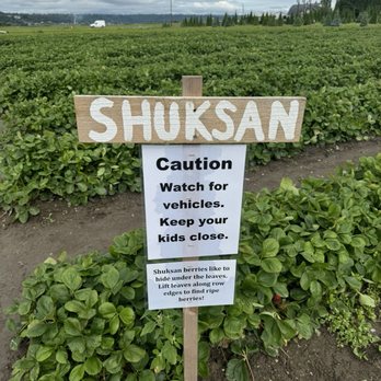 Bailey Family Farm - Pick Your Own Farms Near Me - Snohomish, Washington