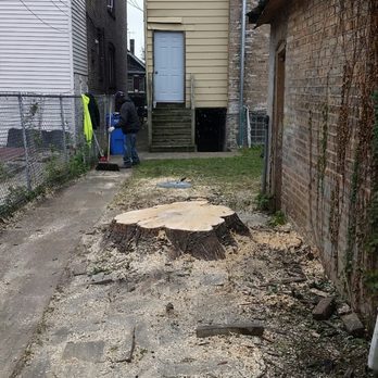 Hector & Sons Landscaping - a tree stump in a back yard - Landscaping Near Me - Midlothian, Illinois Hector & Sons Landscaping - a tree stump in a back yard - Landscaping Near Me - Midlothian, Illinois
