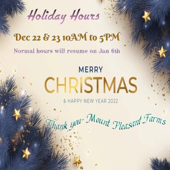 Mount Pleasant At Christmas 2022 Mount Pleasant Farms - 82 Photos & 14 Reviews - Farmers Market - 2201 Mount  Pleasant Rd, Chesapeake, Va - Phone Number