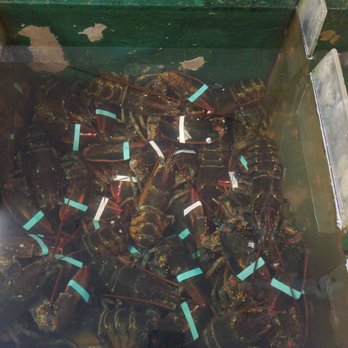 Menemsha Fish Market - Seafood Markets Near Me - Chilmark, Massachusetts