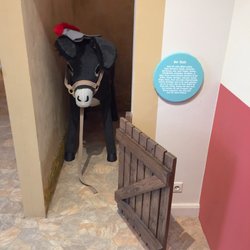 Miraculum - Esel im Stall