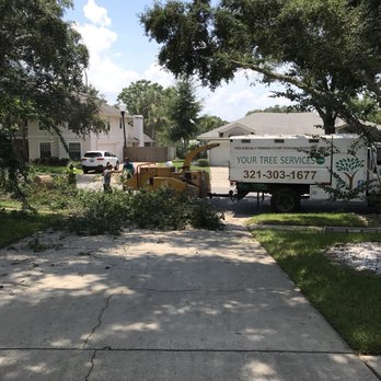 Your Tree Service - Tree Services Near Me - DeLand, Florida