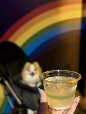 Exploratorium by null