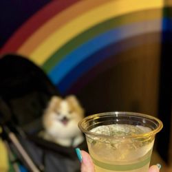 Exploratorium - After Dark Thursday Nights - dog friendly and full bar!