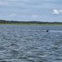 Island Skiff Adventure Tours