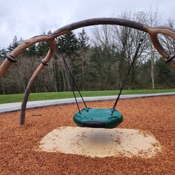 Disc swing