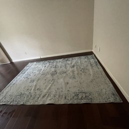 Living room rug Living room rug