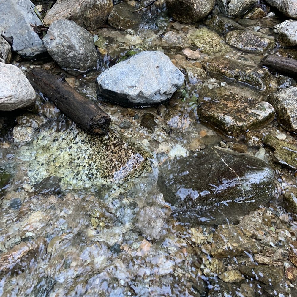 Millard Canyon - Creek - Parks Near Me - Altadena, California Millard Canyon - Creek - Parks Near Me - Altadena, California