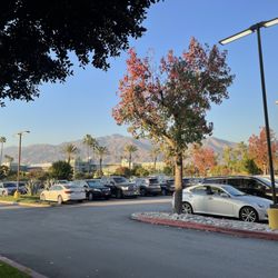 Plenty of parking