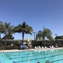 Mayfair Community Center - Register for swim lessons at www.sjregistration.com
