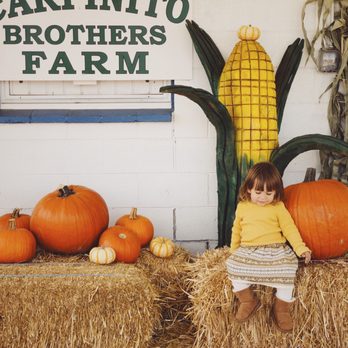 Carpinito Brothers Pumpkin Patch - Photo op - Farmers Market Near Me - Kent, Washington
