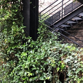 Hôtel B Montmartre - View of the beautiful iron staircase wrapped in foliage from the courtyard to our floor. - Hotels Near Me - Paris, 75 Hôtel B Montmartre - View of the beautiful iron staircase wrapped in foliage from the courtyard to our floor. - Hotels Near Me - Paris, 75