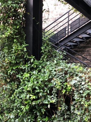 B Montmartre Hôtel by null