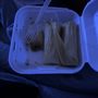 Photo of El Forastero Mexican Food