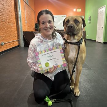 Anything Is Pawzible - Pet Training Near Me - Chicago, Illinois Anything Is Pawzible - Pet Training Near Me - Chicago, Illinois