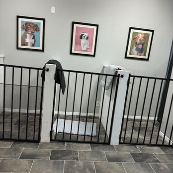 Love’s Pet Grooming - Pet Groomers Near Me