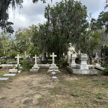 Adventure Tours in Motion - Historical Tours Near Me - Savannah, Georgia