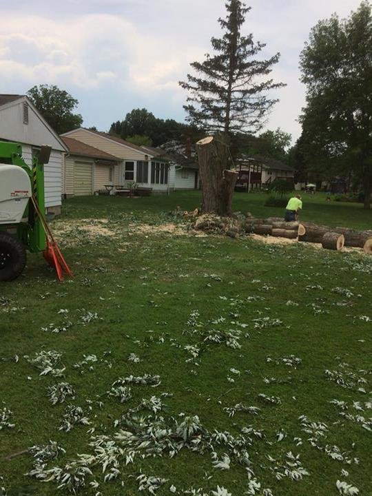 Slide of Heeter Enterprises Tree Service and Landscaping