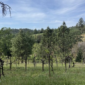 Boeger Winery - Wineries Near Me - Placerville, California