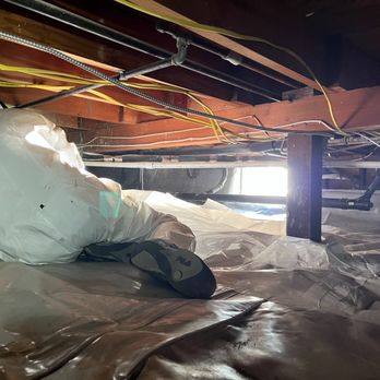Attic Pros - Pest Control Near Me - Oakland, California