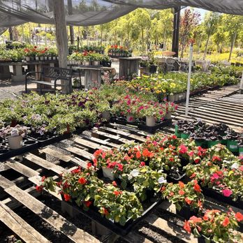 Serrano Nursery - Nurseries & Gardening Near Me - Colton, California Serrano Nursery - Nurseries & Gardening Near Me - Colton, California