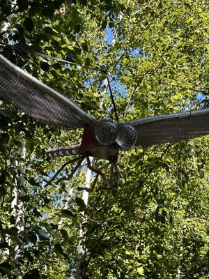 Olbrich Botanical Gardens by null