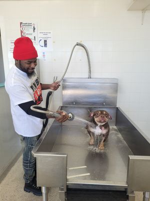TUBS - Pet Wash 24 is designed to offer a clean convenient way to bathe your pet and avoid the aftermath associated with bathing at home. We see more dogs than cats on our security feeds, but we have seen a kitten and even a pot belly pig. We have different size tubs to fit you furry friend no matter the size TUBS - Pet Wash 24 is designed to offer a clean convenient way to bathe your pet and avoid the aftermath associated with bathing at home. We see more dogs than cats on our security feeds, but we have seen a kitten and even a pot belly pig. We have different size tubs to fit you furry friend no matter the size