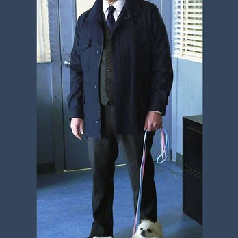 Coddled Creatures Pet Sitting - The President's dog with James Spader on The Blacklist! - Pet Sitting Near Me - Mahwah, New Jersey Coddled Creatures Pet Sitting - The President's dog with James Spader on The Blacklist! - Pet Sitting Near Me - Mahwah, New Jersey