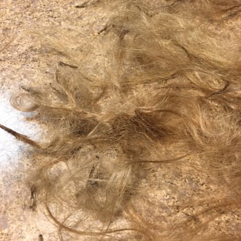 Town Creeks Salons - How much hair had to be taken out for her mistake - Hair Stylists Near Me - Allen, Texas